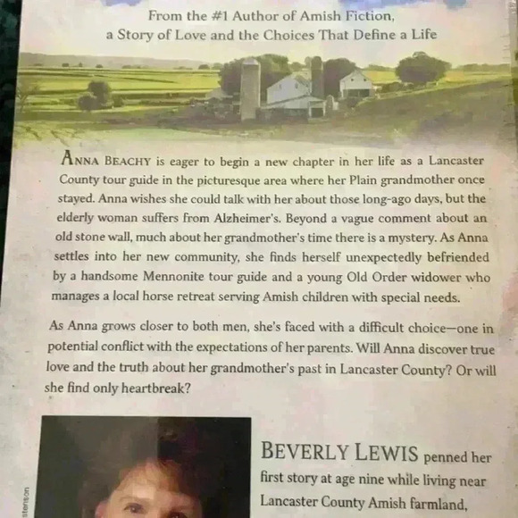 The Stonewall by Beverly Lewis - Picture 3 of 4